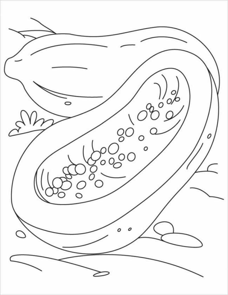 tranh to-mau-qua-du-du-8