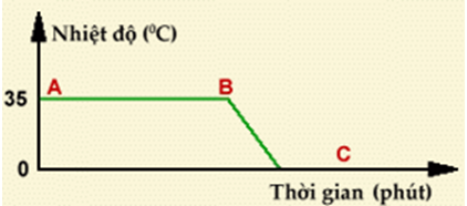 Trắc nghiệm Vật lý 6