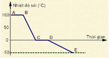Trắc nghiệm Vật lý 6