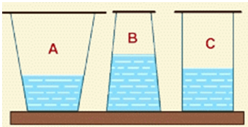 Trắc nghiệm Vật lý 6