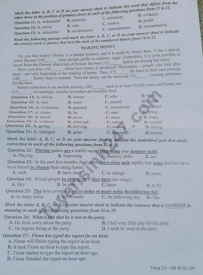 Đề thi vào lớp 10 môn Tiếng Anh