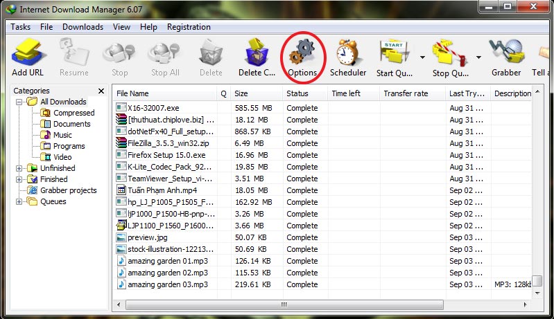 Tổng quan về IOE
