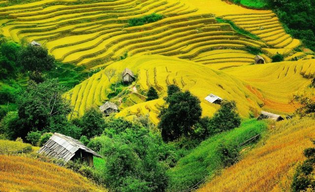 Bức tranh Việt Bắc 