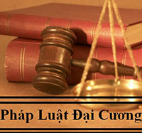 Trắc nghiệm Pháp luật đại cương - Phần 34