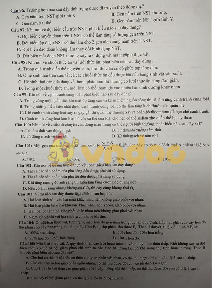 Đề thi thử THPT Quốc gia môn Sinh học năm 2019