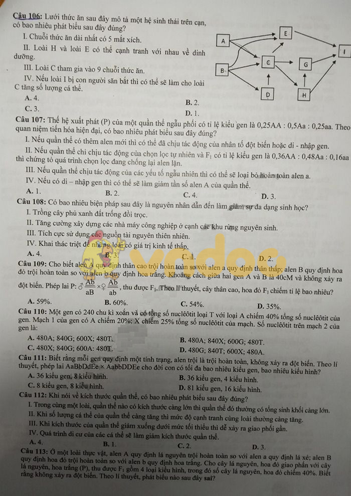 Đề thi thử THPT Quốc gia môn Sinh học năm 2019