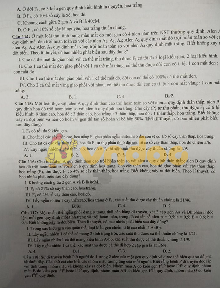 Đề thi thử THPT Quốc gia môn Sinh học năm 2019