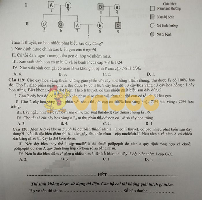 Đề thi thử THPT Quốc gia môn Sinh học năm 2019