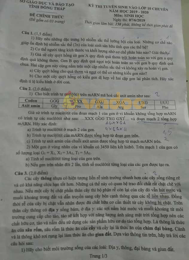 Đề thi vào lớp 10 môn Sinh học Chuyên 2019 tỉnh Đồng Tháp