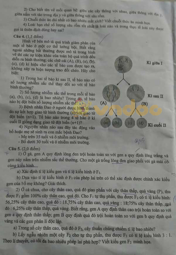 Đề thi vào lớp 10 môn Sinh học Chuyên 2019 tỉnh Đồng Tháp