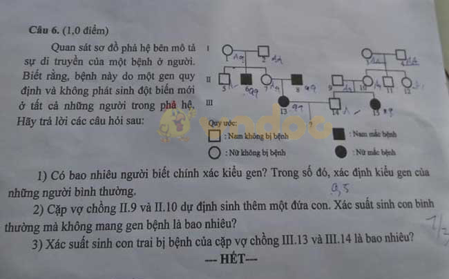 Đề thi vào lớp 10 môn Sinh học Chuyên 2019 tỉnh Đồng Tháp