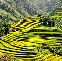 Tra cứu điểm thi tuyển sinh lớp 10 tỉnh Yên Bái năm 2021