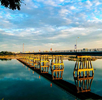 Đề cương ôn thi viên chức tiểu học Quảng Ngãi 2019