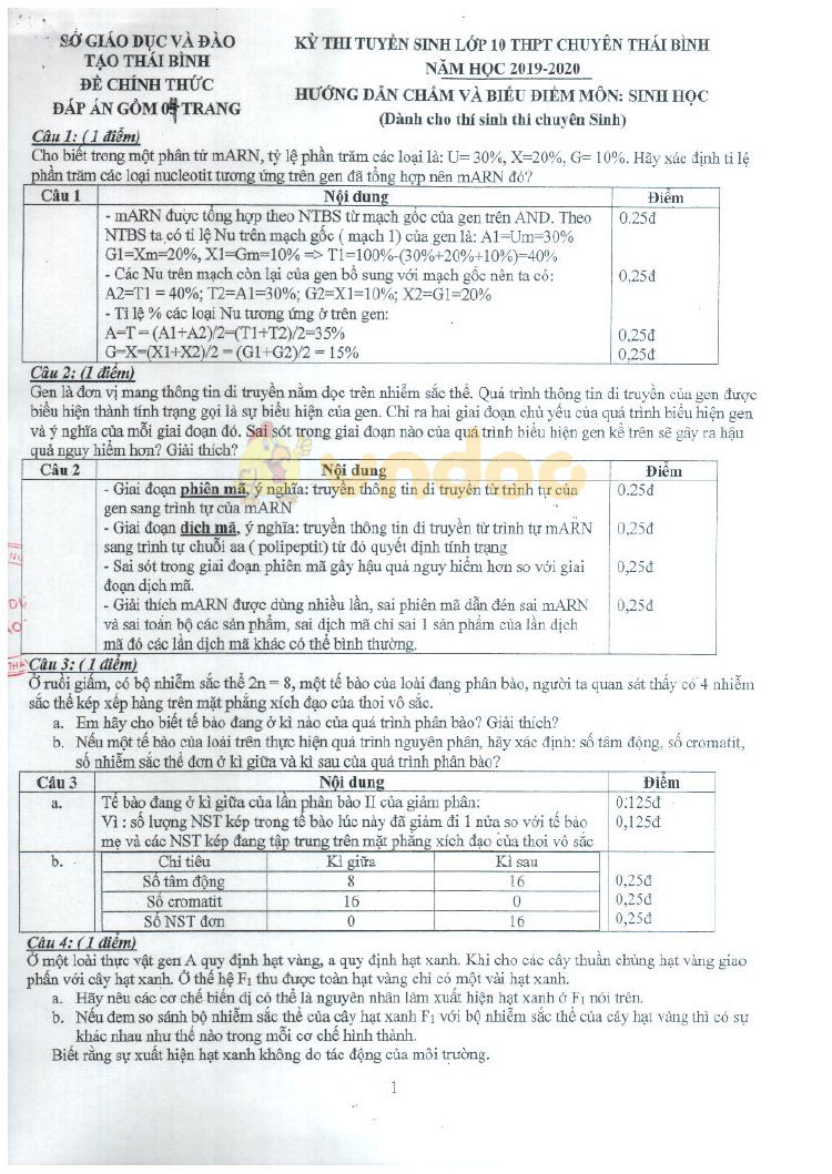 Đáp án đề thi vào lớp 10 môn Sinh học Chuyên 2019 tỉnh Thái Bình (Chuyên Sinh)