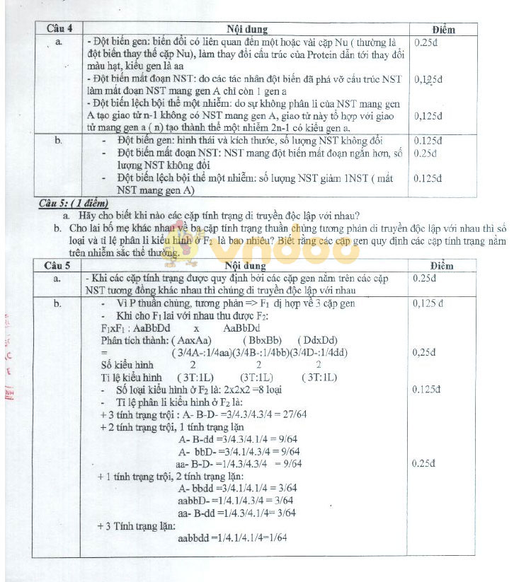 Đáp án đề thi vào lớp 10 môn Sinh học Chuyên 2019 tỉnh Thái Bình (Chuyên Sinh)