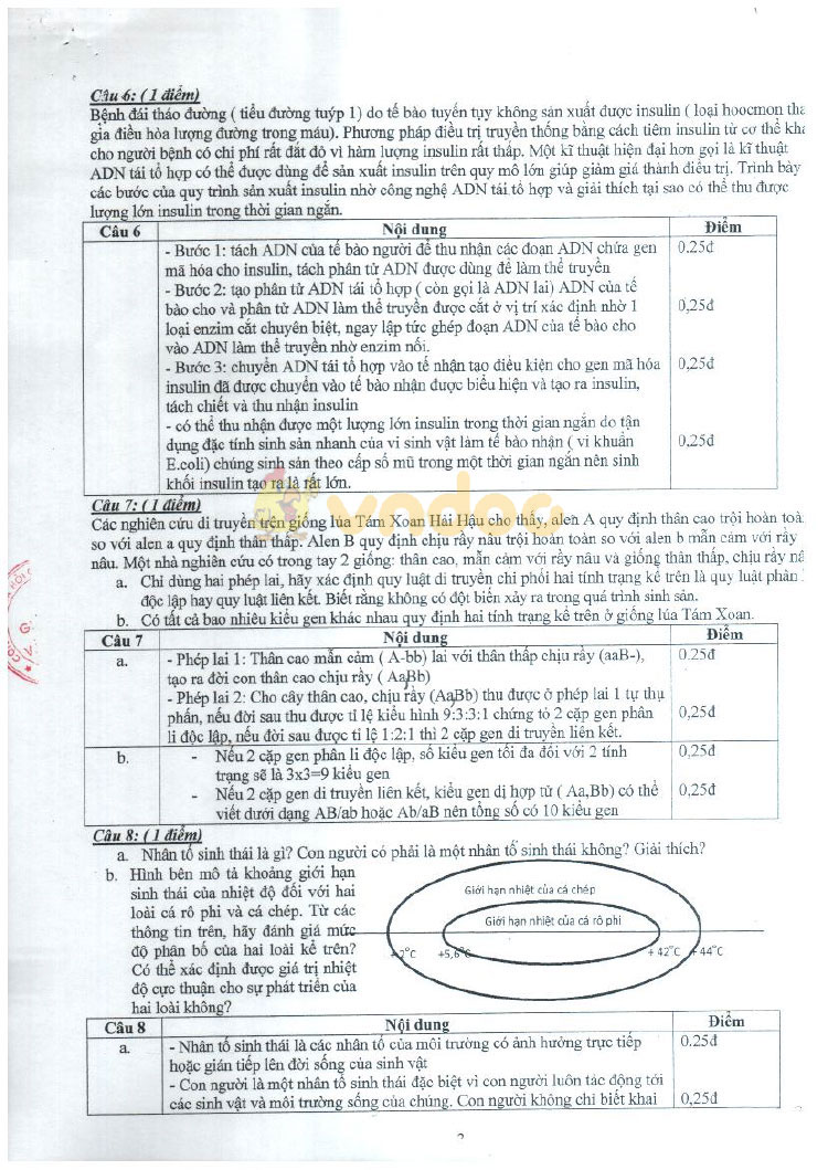 Đáp án đề thi vào lớp 10 môn Sinh học Chuyên 2019 tỉnh Thái Bình (Chuyên Sinh)