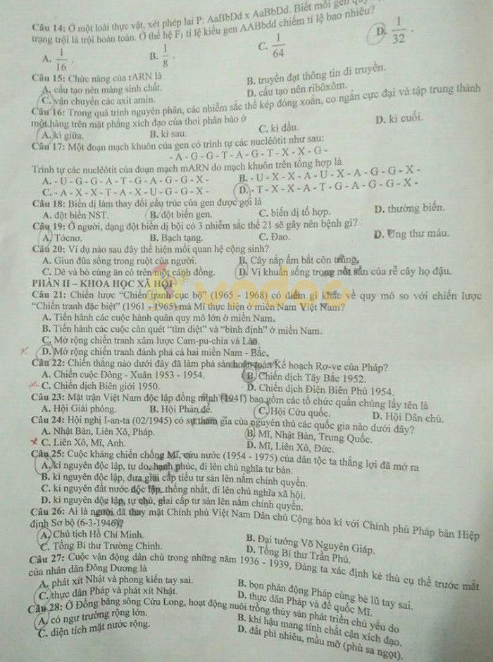 Đáp án đề thi vào lớp 10 môn Tổ hợp tỉnh Hưng Yên năm 2019