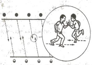 Giáo án thể duc lớp 2