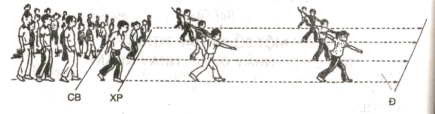 Giáo án Thể dục lớp 2: Bài 43