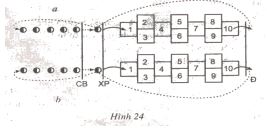 Giáo án Thể dục lớp 2: Bài 44