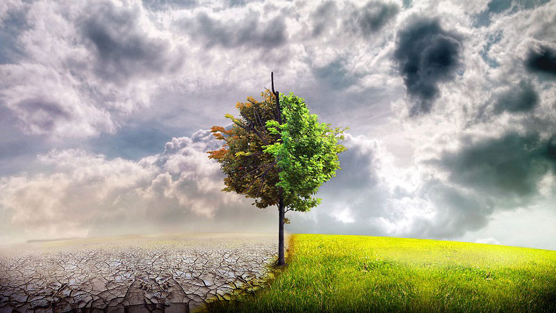 Xác suất lăng nhăng của bạn?