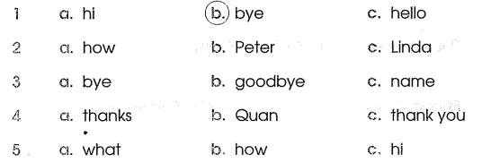 Phiếu bài tập cuối tuần môn Tiếng Anh lớp 3 Tuần 2