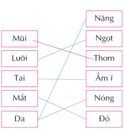 Giải bài tập Tin học 3 bài 2