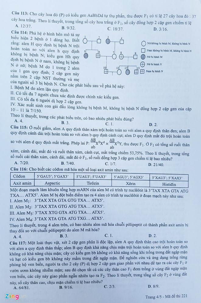 Đáp án Đề thi THPT Quốc gia môn Sinh học năm 2019 