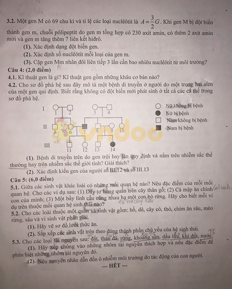 Đề thi vào lớp 10 môn Sinh học Chuyên 2019 tỉnh Bạc Liêu
