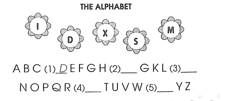 Phiếu bài tập cuối tuần môn Tiếng Anh lớp 3 Tuần 3