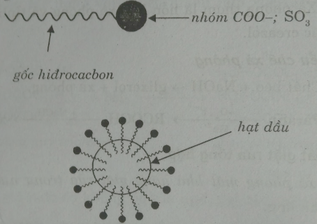Lý thuyết Chất giặt rửa