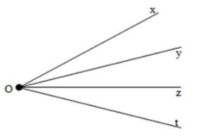 Trắc nghiệm Toán lớp 6: Tia