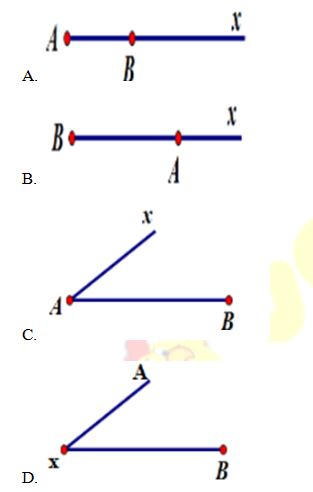 Trắc nghiệm Toán lớp 6: Tia