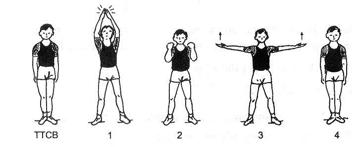 Giáo án Thể dục lớp 6 - Tuần 2 - Tiết 3