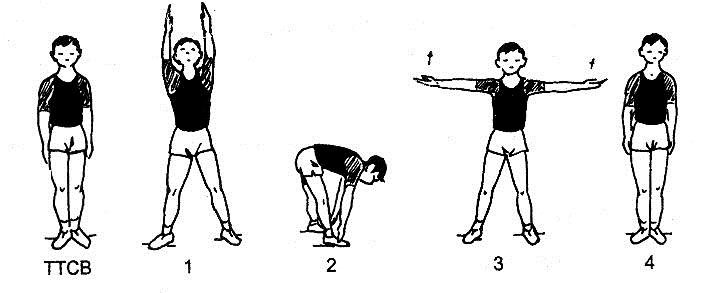 Giáo án Thể dục lớp 6 - Tuần 2 - Tiết 4