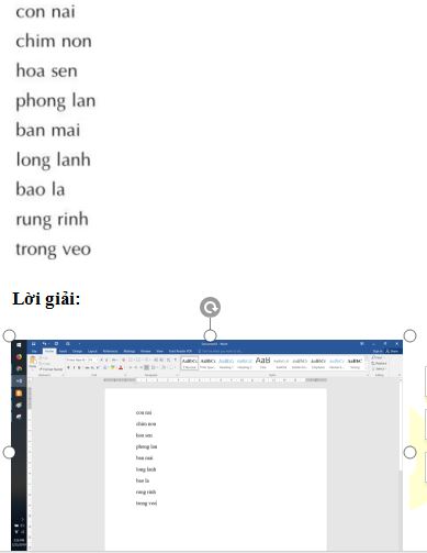 Bài thực hành 4 trang 77 SGK Tin học 3
