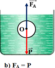 Giải bài tập VBT Vật lý lớp 8 bài 12: Sự nổi