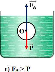 Giải bài tập VBT Vật lý lớp 8 bài 12: Sự nổi