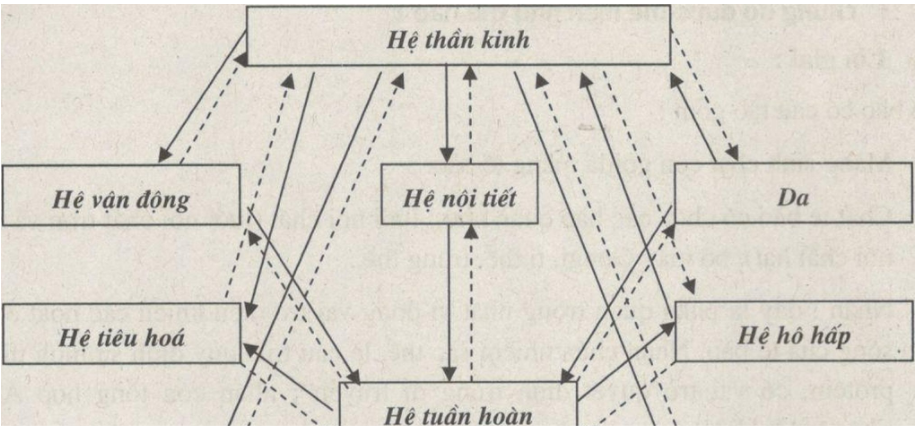 Giải Sách bài tập Sinh học lớp 8 trang 5, 6, 7
