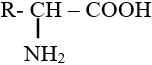 Lý thuyết: Luyện tập cấu tạo và tính chất của amin, amino axit, protein