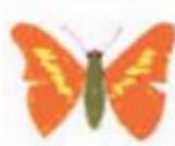 Giải bài tập Tin học lớp 4: Sao chép hình