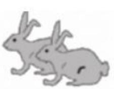 Giải bài tập Tin học lớp 4: Sao chép hình