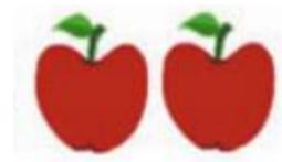 Giải bài tập Tin học lớp 4: Sao chép hình