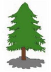 Giải bài tập Tin học lớp 4: Vẽ tự do bằng cọ vẽ, bút chì