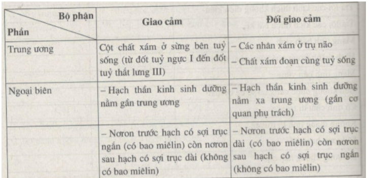 Giải Sách bài tập Sinh học lớp 8 trang 104