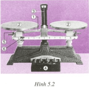 Giải bài tập trang 18, 19, 20 SGK Vật lý lớp 6 bài 5: Khối lượng - Đo khối lượng