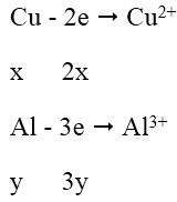 Kim loại tác dụng với dung dịch axit