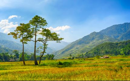 Một cây làm chẳng nên non
