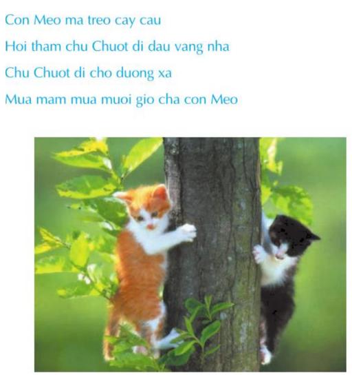 Giải bài tập Tin học lớp 4: Ôn luyện gõ