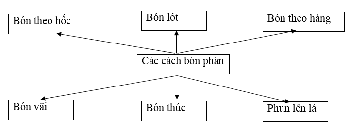 Giải Sách bài tập Công nghệ lớp 7